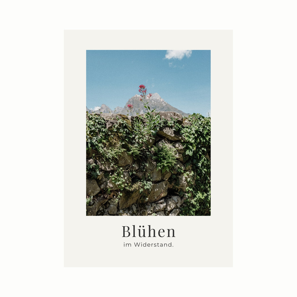 Blühen im Widerstand