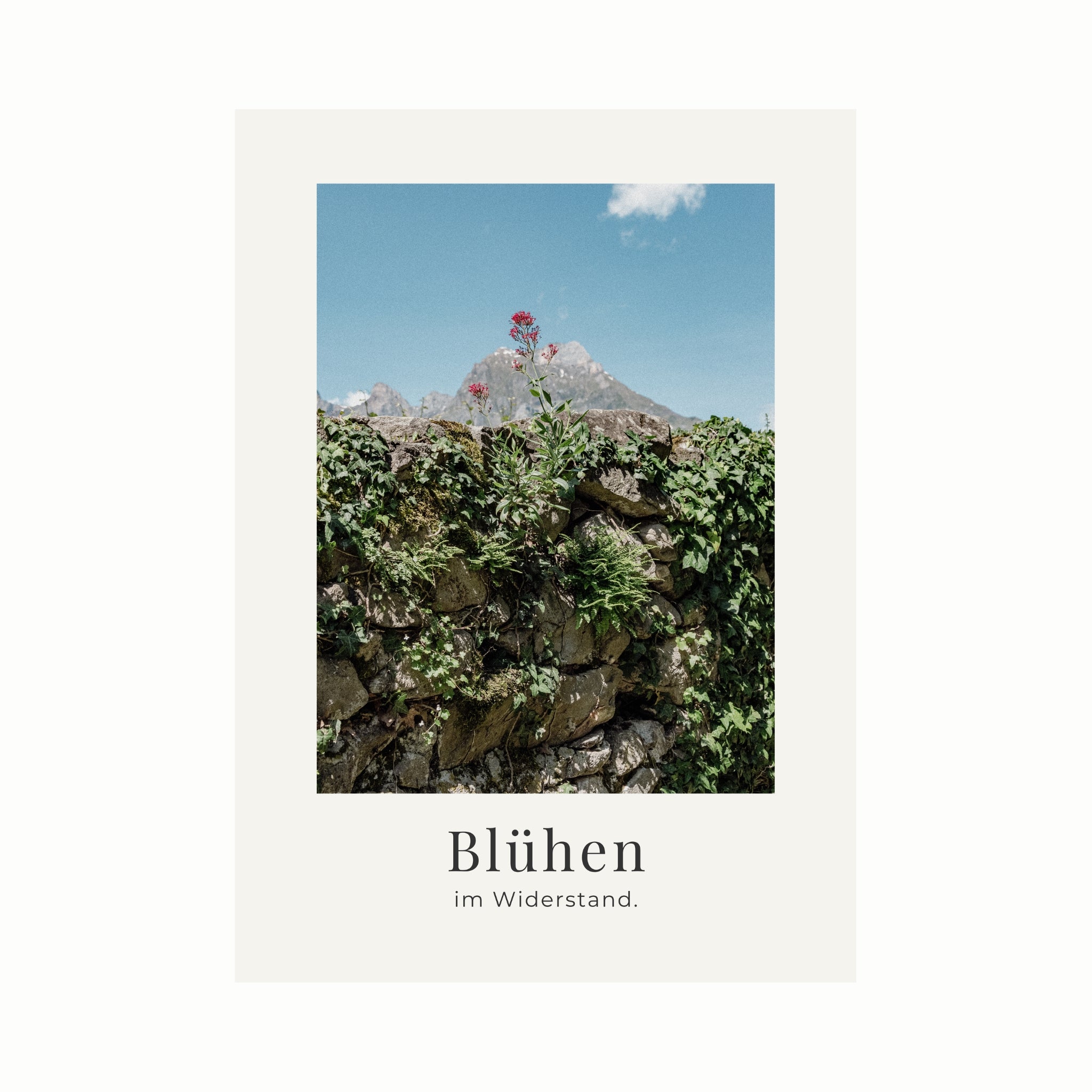 Blühen im Widerstand