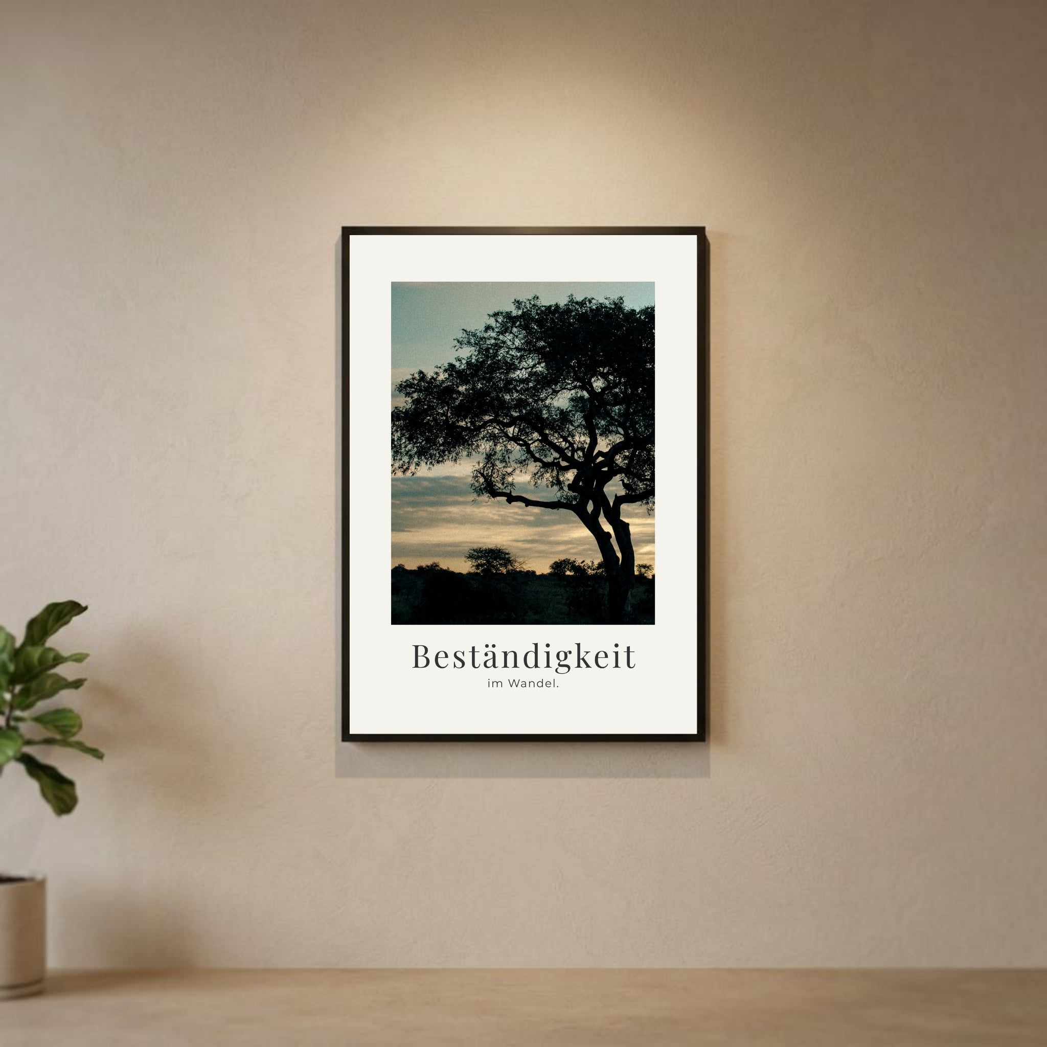 Beständigkeit im Wandel