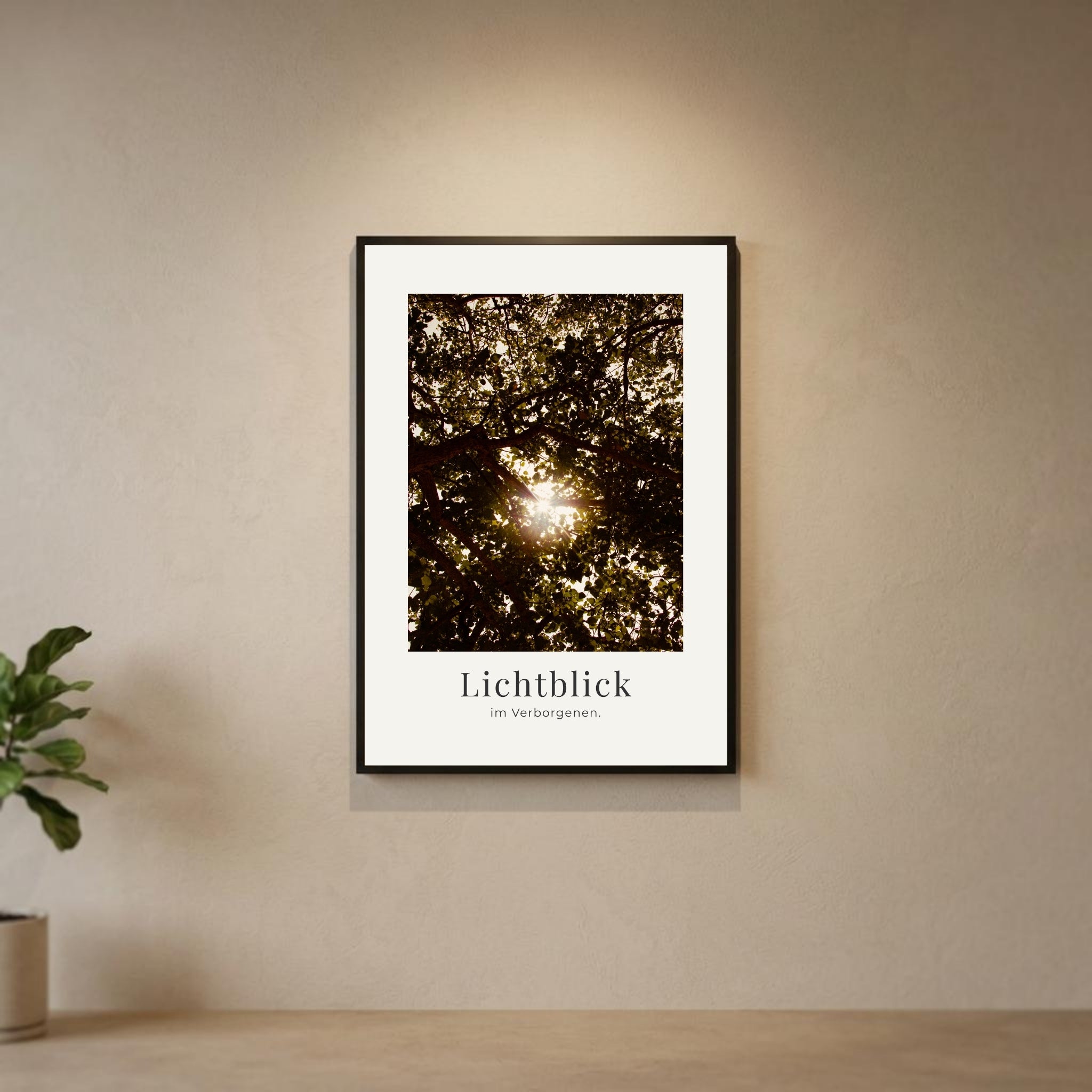 Lichtblick im Verborgenen