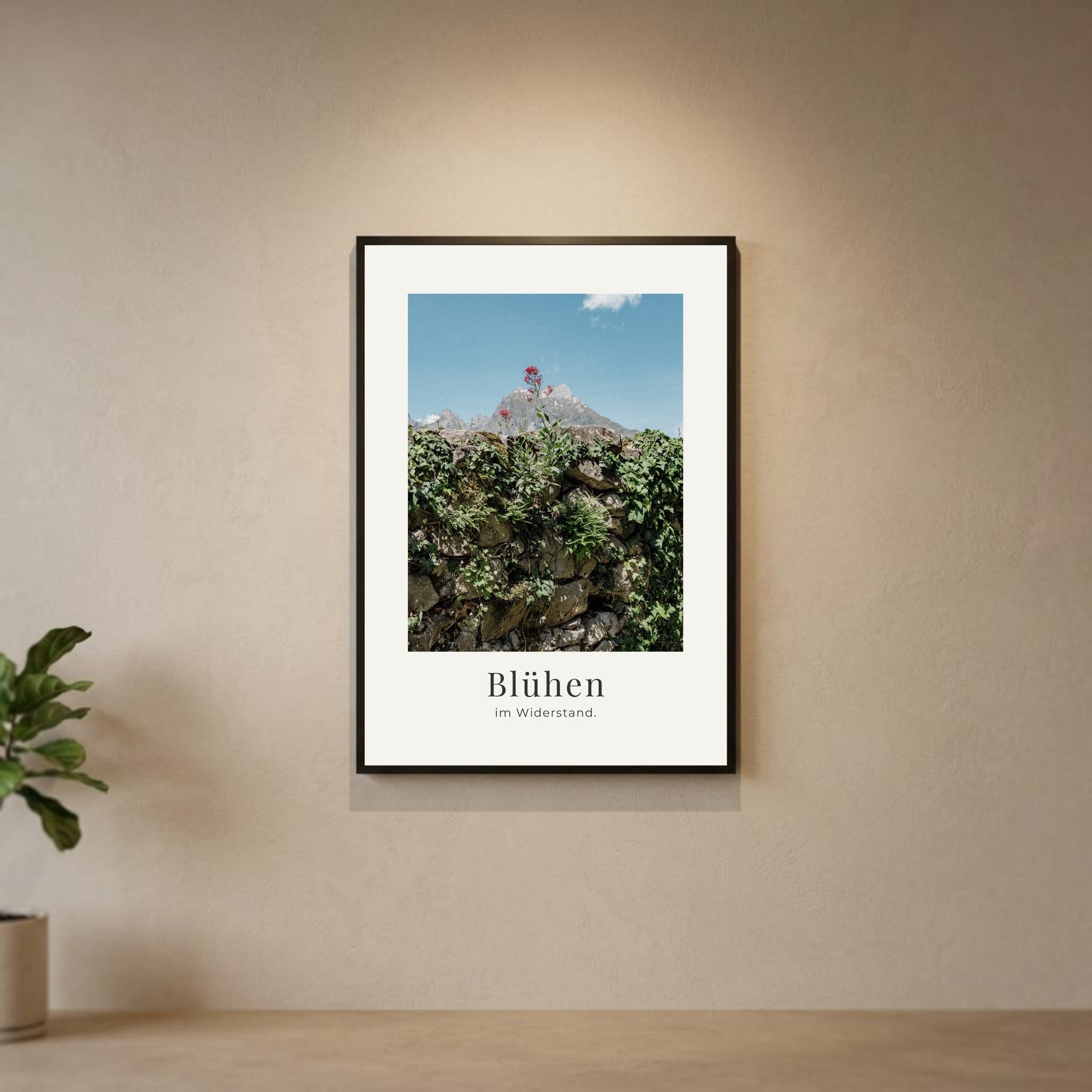 Blühen im Widerstand