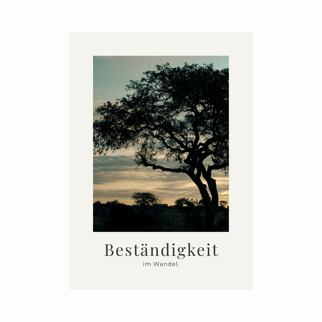 Beständigkeit im Wandel