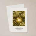 Lichtblick im Verborgenen