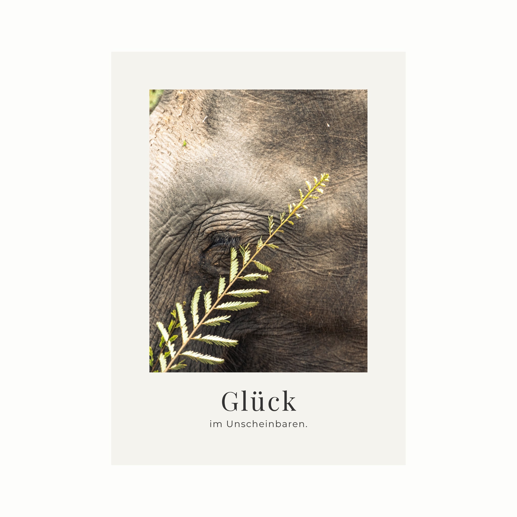 Glück im Unscheinbaren