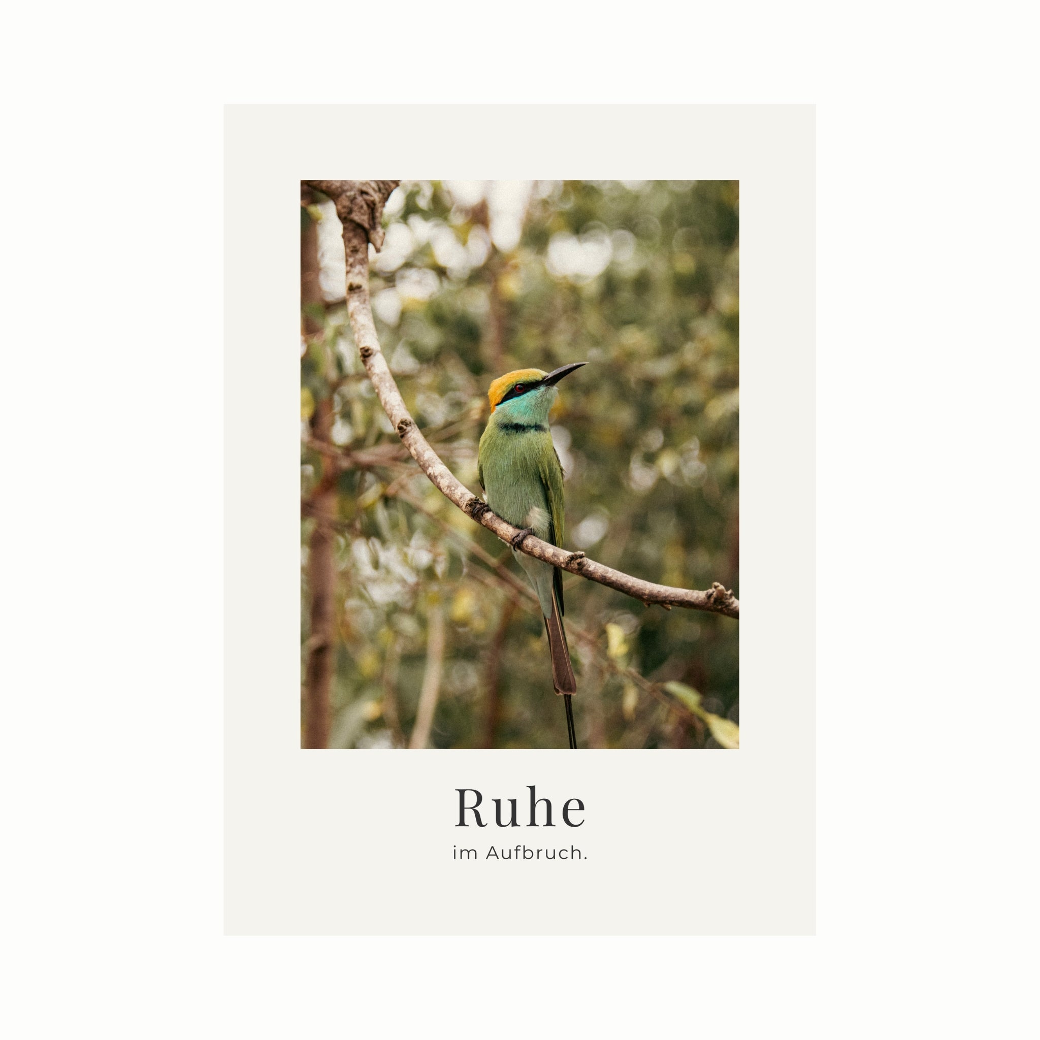 Ruhe im Aufbruch