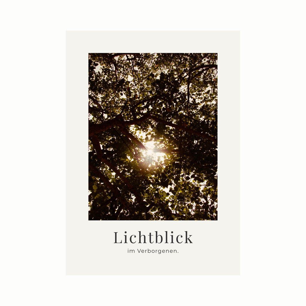 Lichtblick im Verborgenen