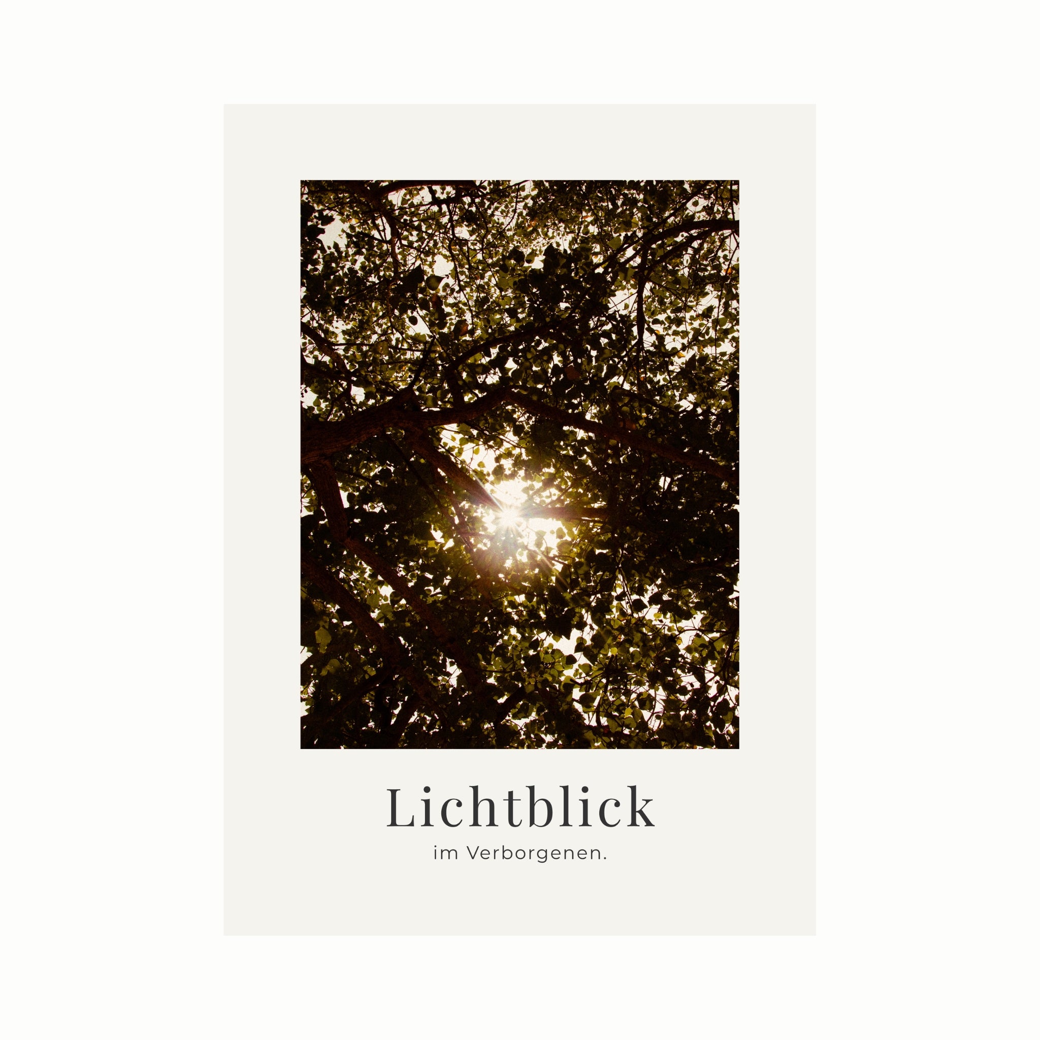 Lichtblick im Verborgenen