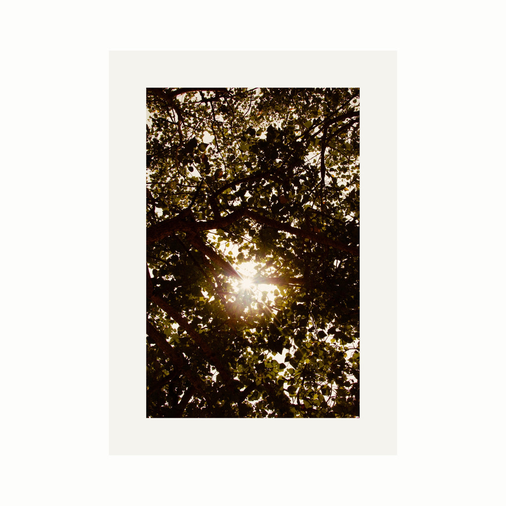 Lichtblick im Verborgenen