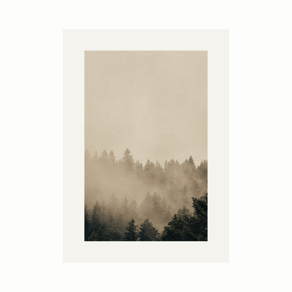Orientierung im Nebel